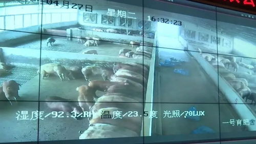 投資3.2億元！肇慶重點(diǎn)項(xiàng)目迎來(lái)新進(jìn)展，網(wǎng)站建設(shè)加速推進(jìn)