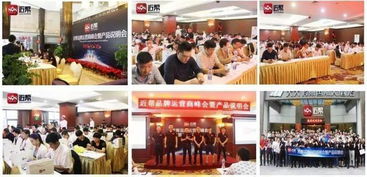 2019年網(wǎng)站建設(shè) 低門檻高回報(bào)的創(chuàng)富機(jī)遇